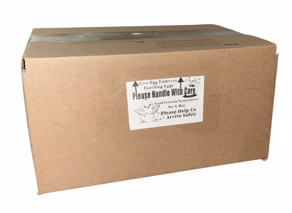 Image of actual packing