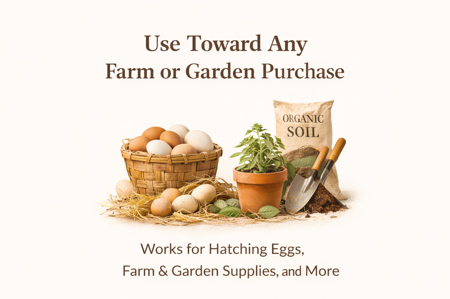 Gift card usable toward hatching eggs and farm and garden supplies at Atlantic Coast Farms
